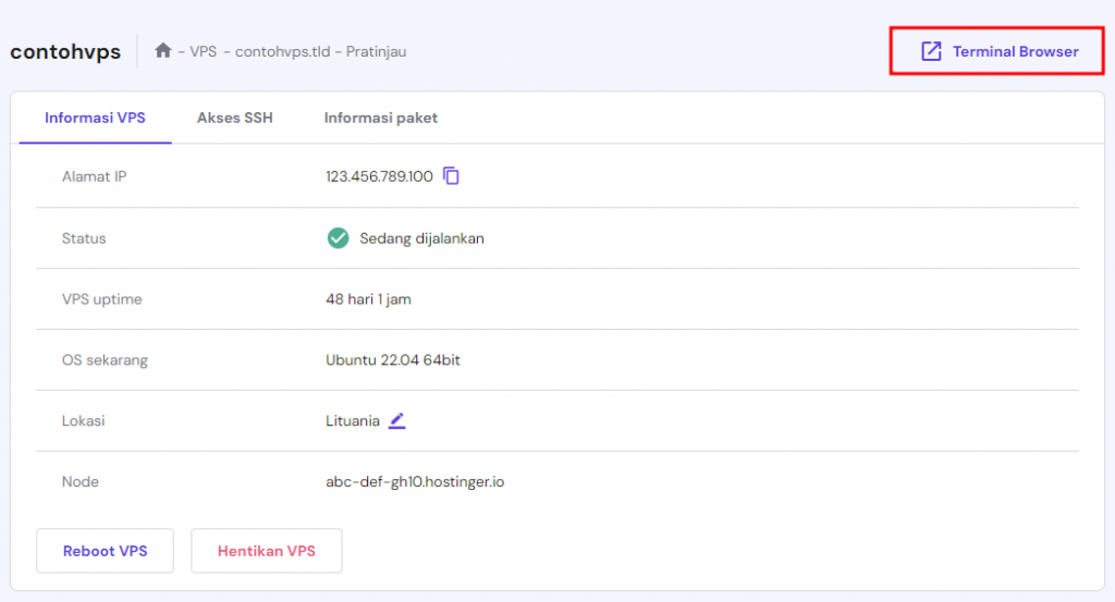 tampilan bagian vps di hpanel dengan tombol terminal browser yang dipilih
