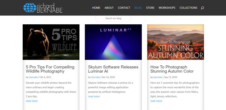 website richard bernabe