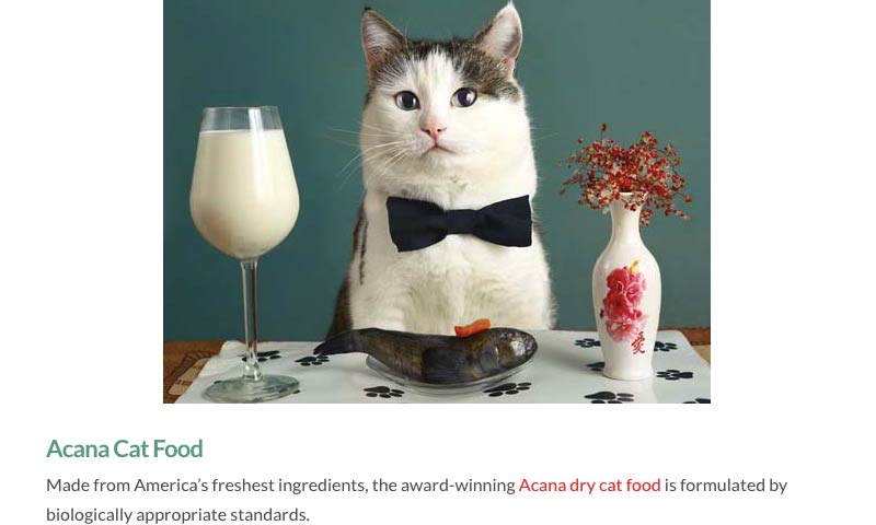 contoh link bisnis afiliasi