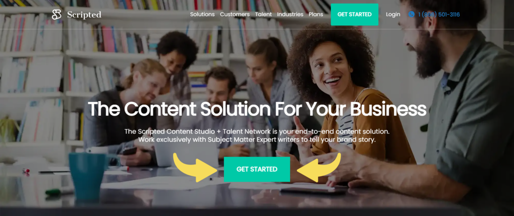 homepage website Scripted