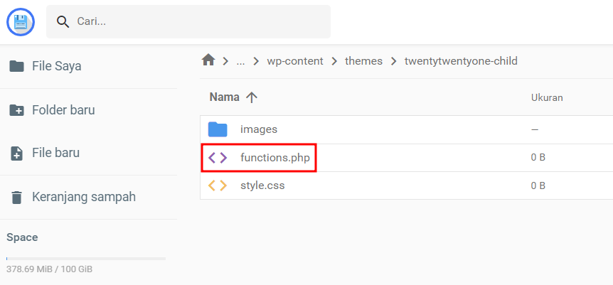 tampilan file manager hostinger dengan file functions.php yang dipilih