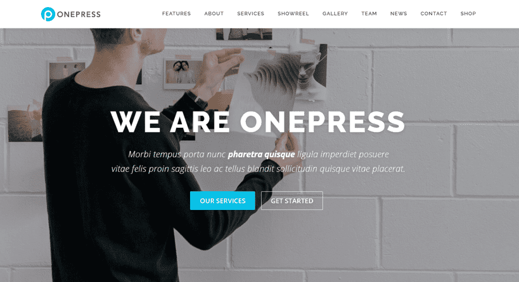 tampilan tema onepress