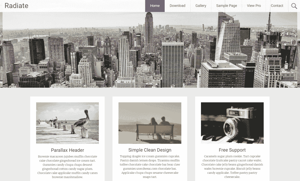 tampilan tema radiate