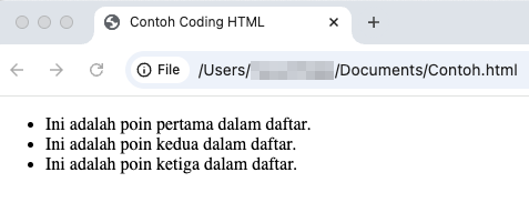 tampilan hasil bullet point yang dibuat dengan coding html