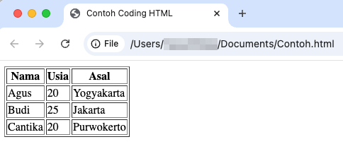 tampilan contoh tabel di chrome yang dibuat menggunakan html