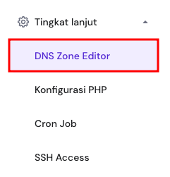 tampilan bagian tingkat lanjut hpanel dengan menu dns zone editor yang dipilih