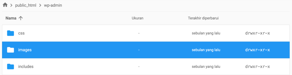 folder images di dalam wp admin - public html