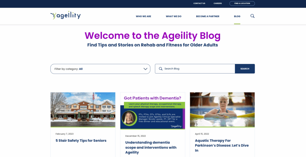 Bagian Blog Ageility