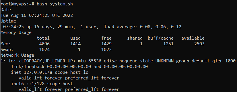 Bash script menampilkan informasi umum tentang sistem dan penggunaan jaringan.