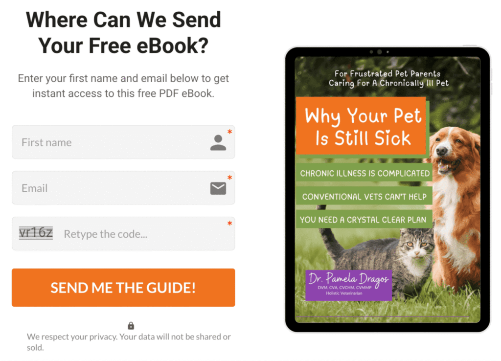 Formulir pendaftaran email newsletter di website dr. Pamela Dragos