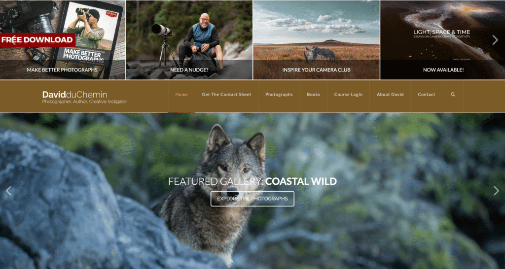La homepage del blog di David duChemin