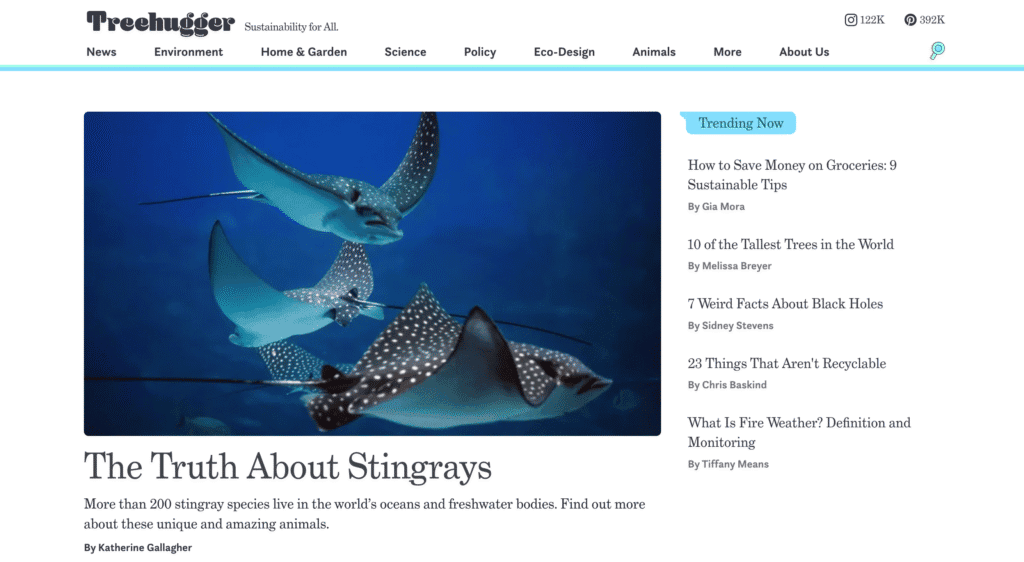La home page del blog di Treehugger