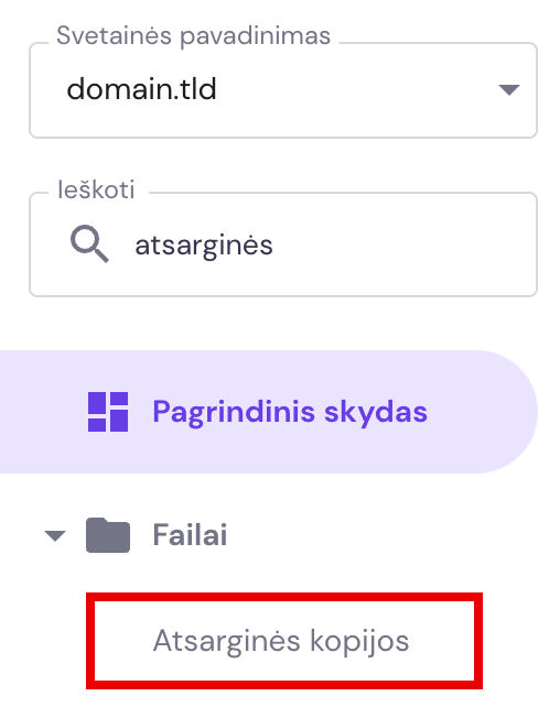 Atsarginių kopijų nustatymai svetainės valdymo zonoje