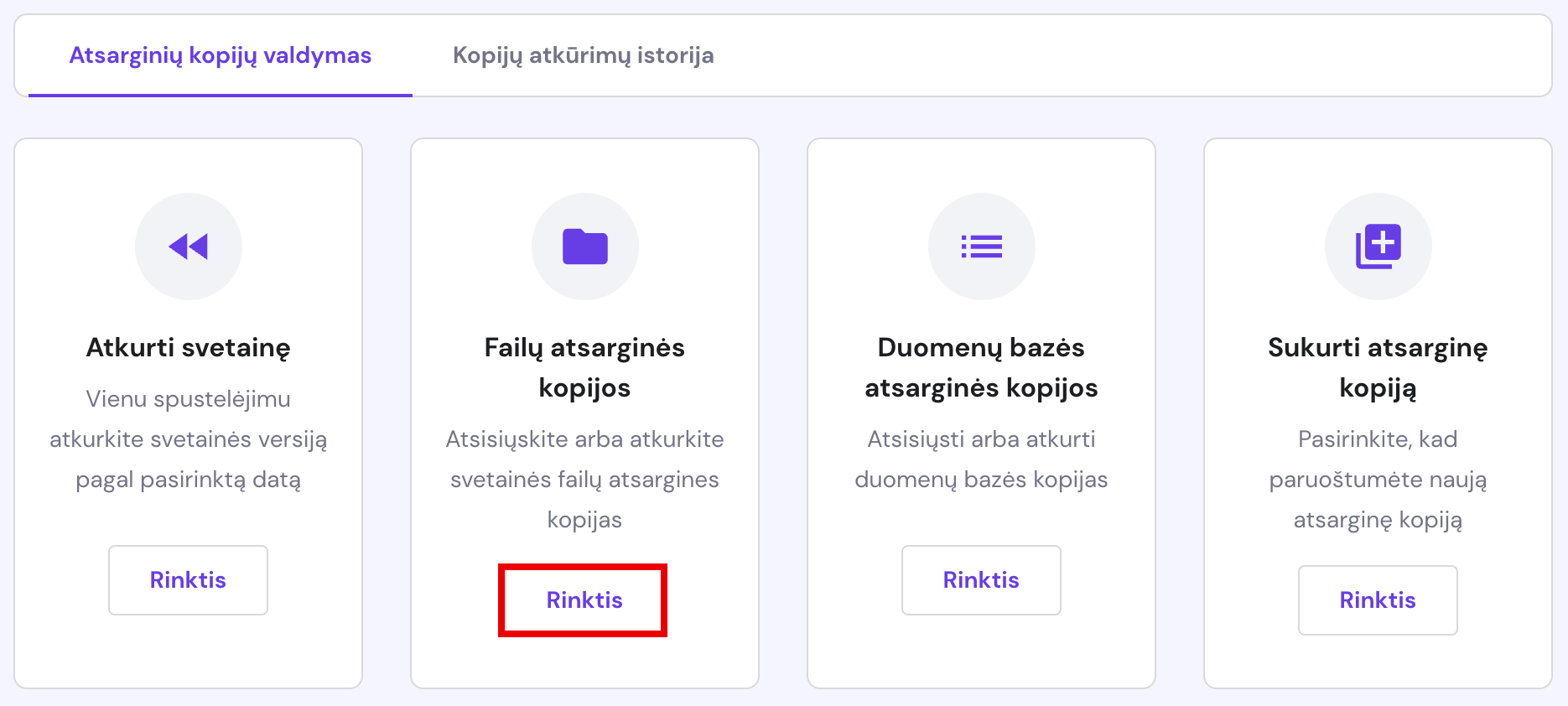 Atsarginių versijų parinktys
