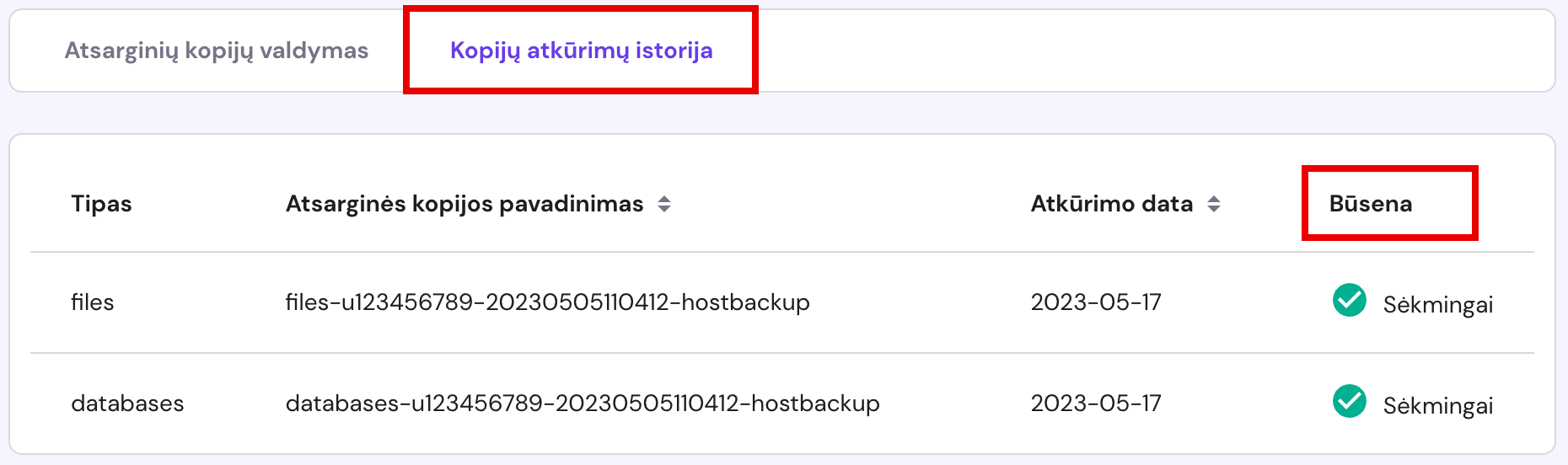 Atkūrimo būsenos peržiūra