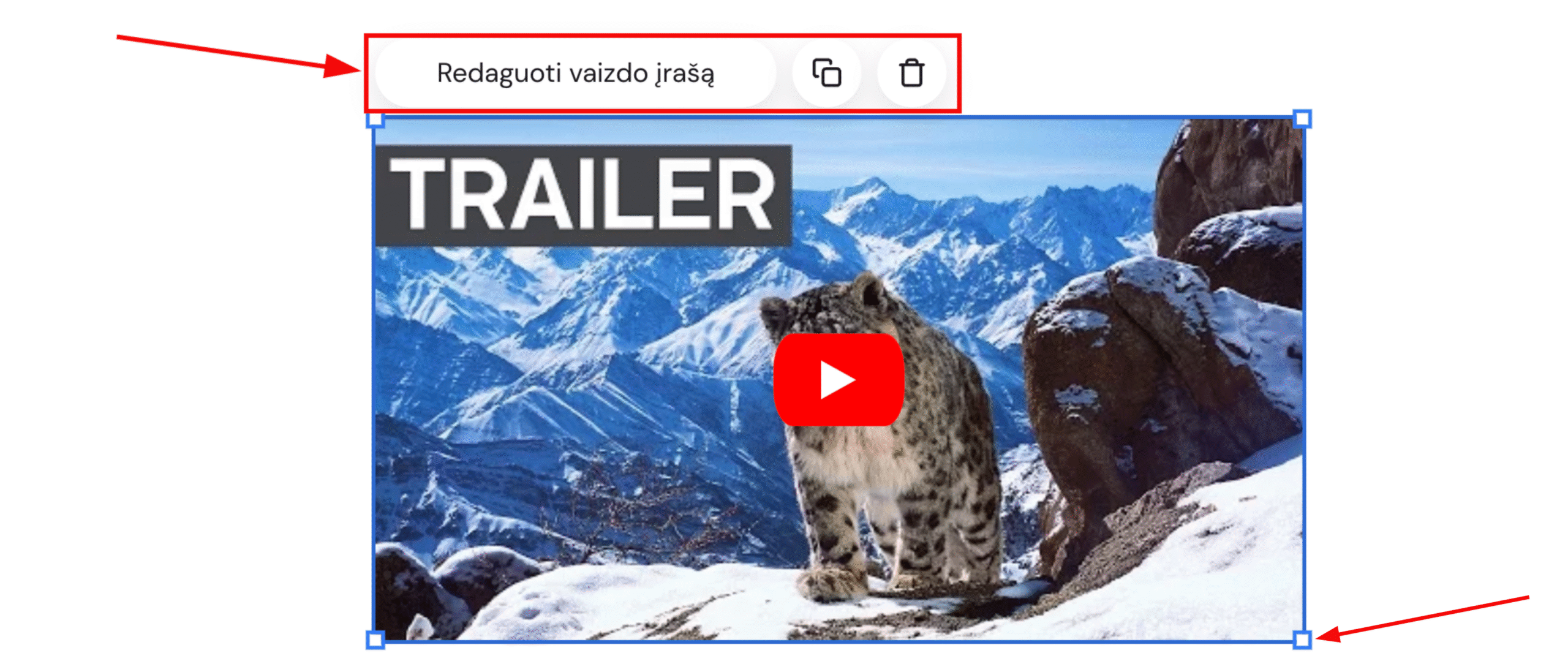 Vaizdo elemento nustatymai Hostinger svetainių kūrimo įrankyje