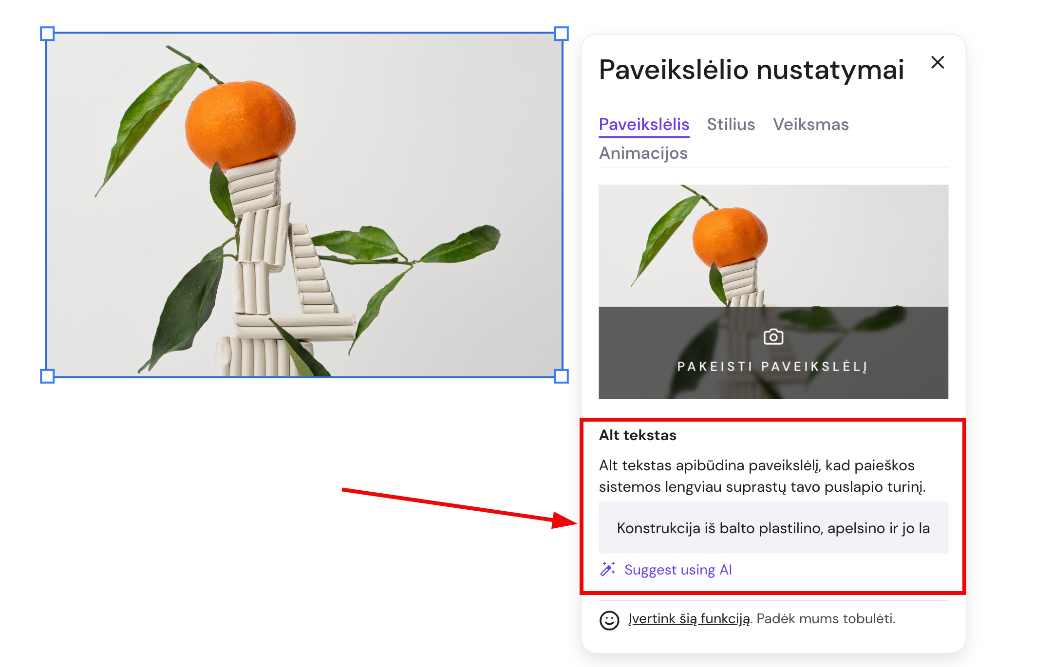 Laukelis alt tekstui paveikslėlio elemento nustatymuose