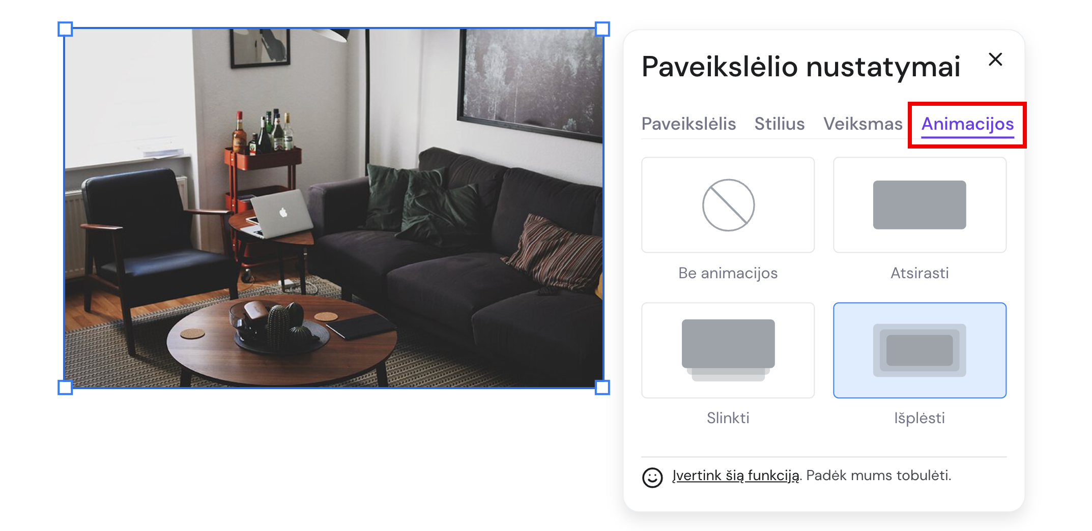 Paveikslėlio elemento animacijų nustatymai