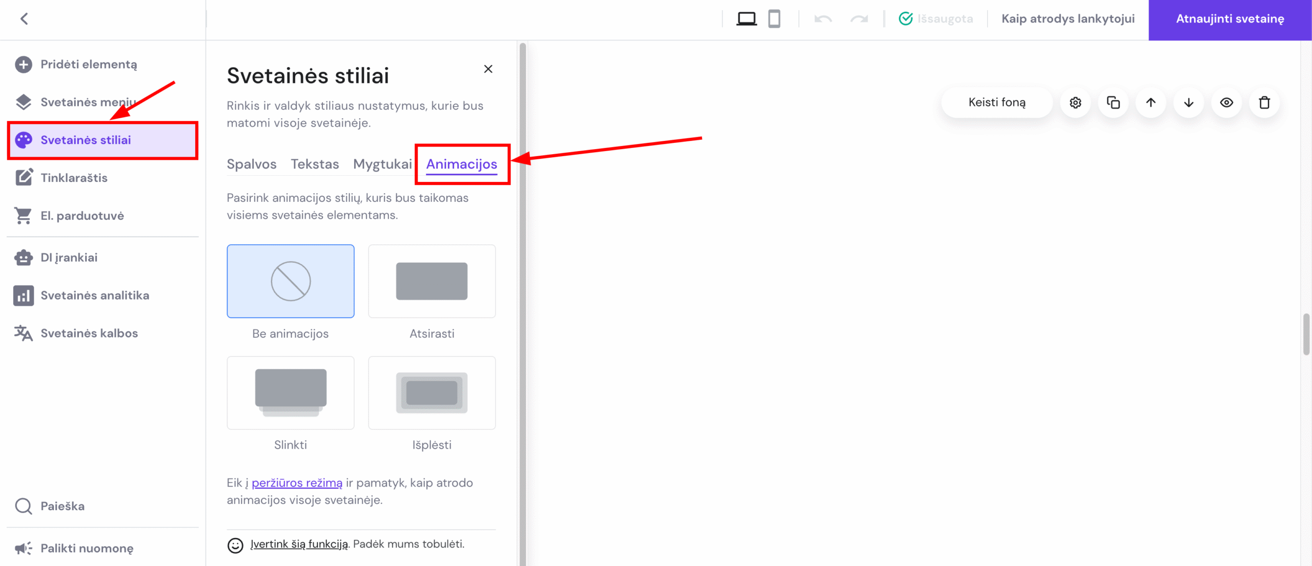 Bendri svetainės animacijų nustatymai