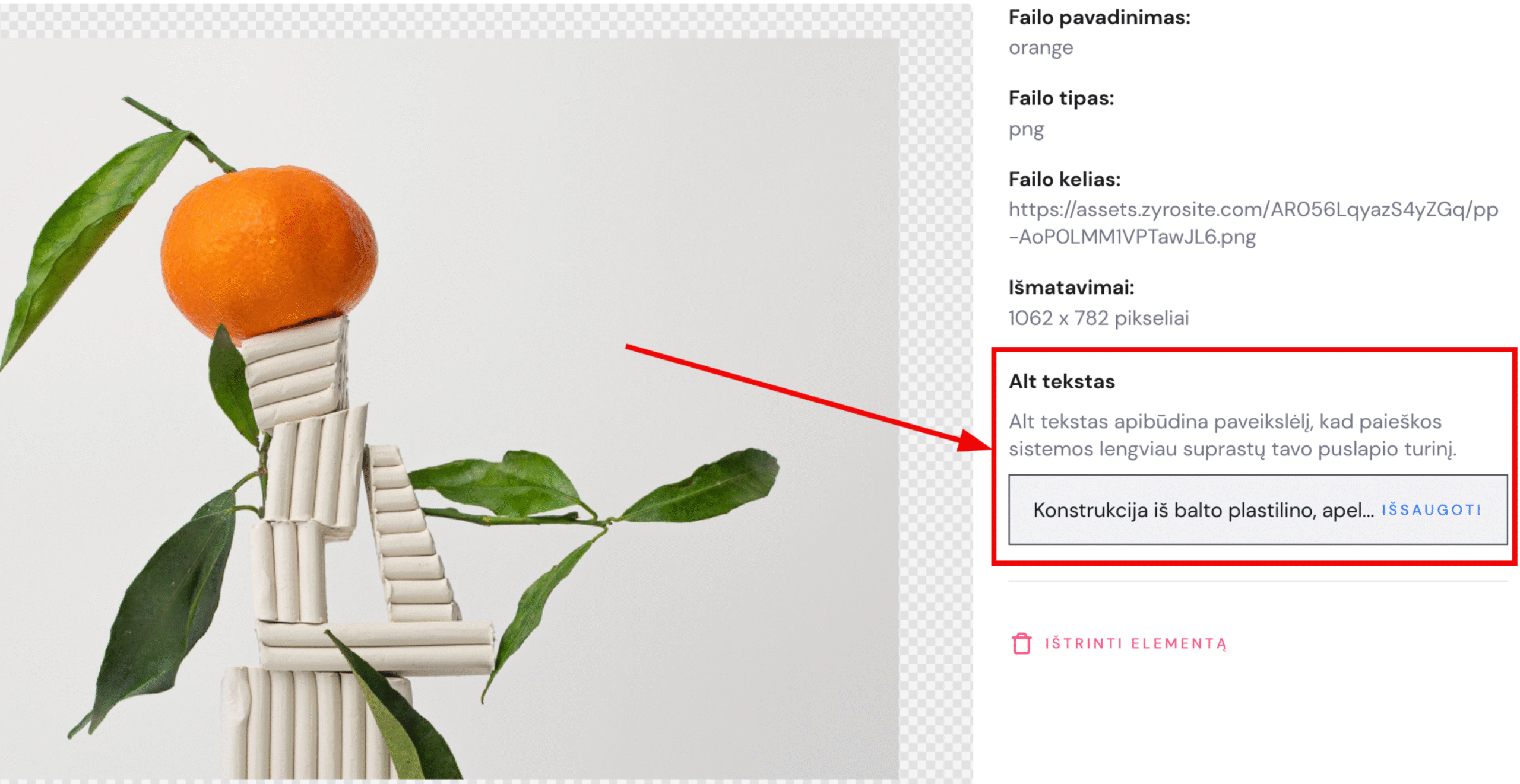 Laukelis alt tekstui medijos failų bibliotekoje