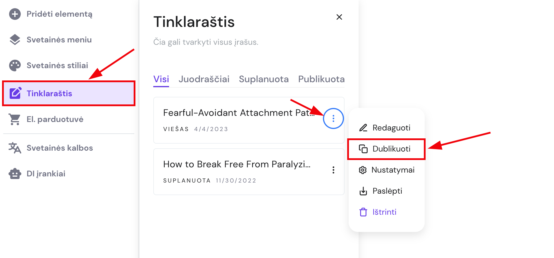 Tinklaraščio įrašo nustatymai Hostinger svetainių kūrimo įrankyje