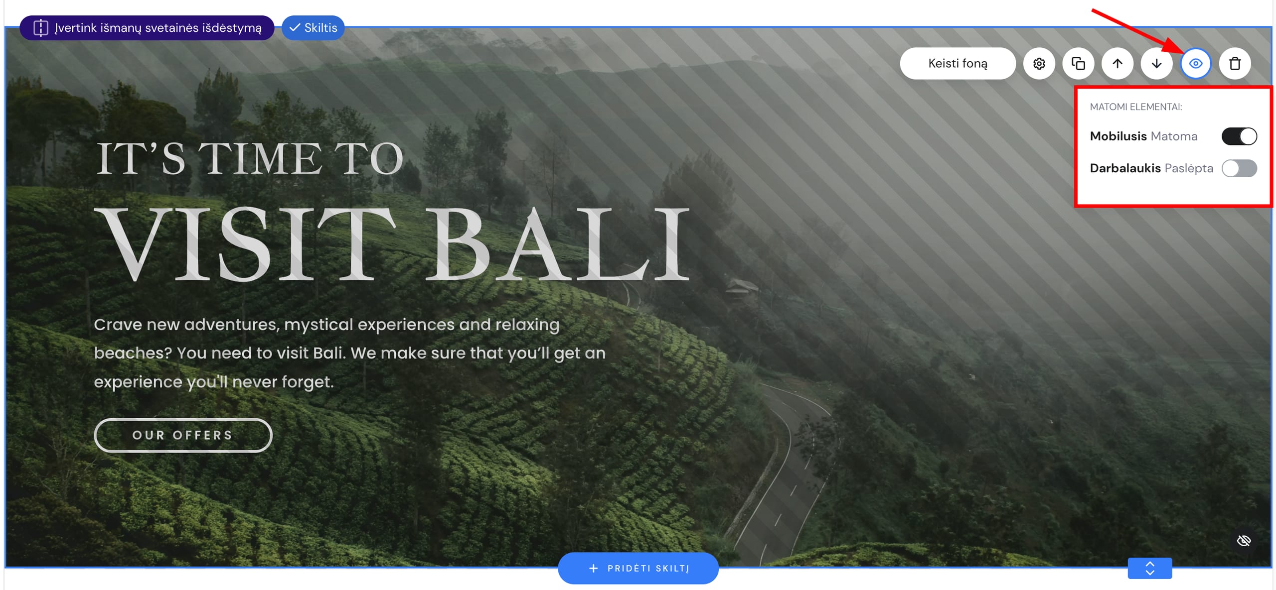 Skilties matomumo nustatymai Hostinger svetainių kūrimo įrankyje