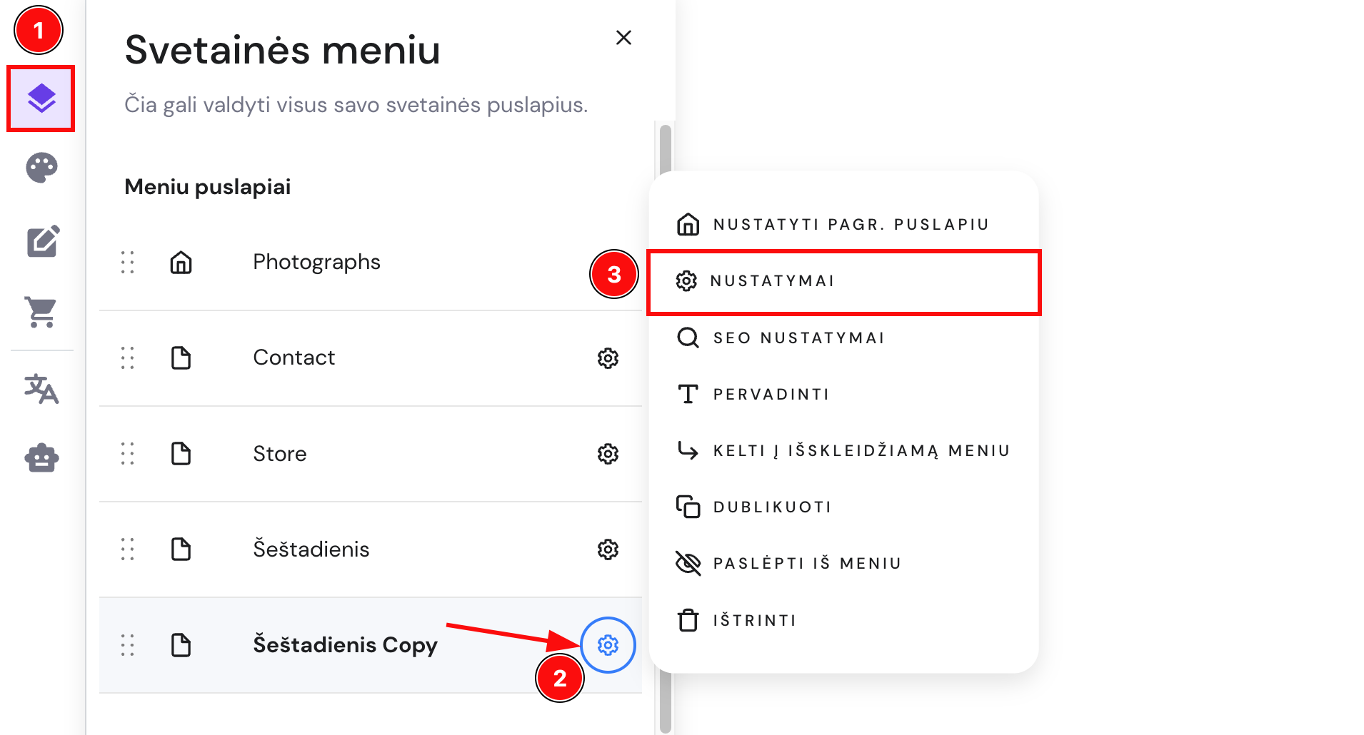Puslapio nustatymai Hostinger svetainių kūrimo įrankyje
