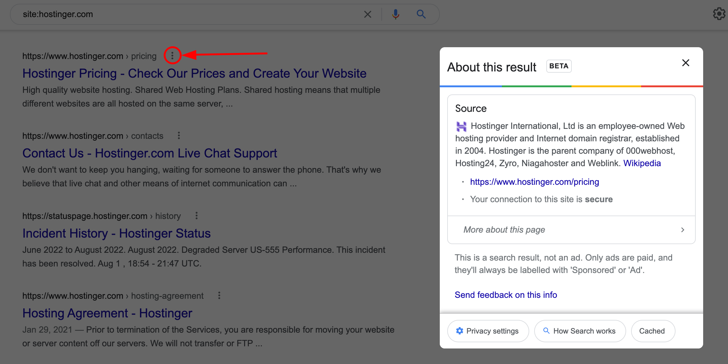 Paieškos rezultato pavyzdys Google paieškos variklyje