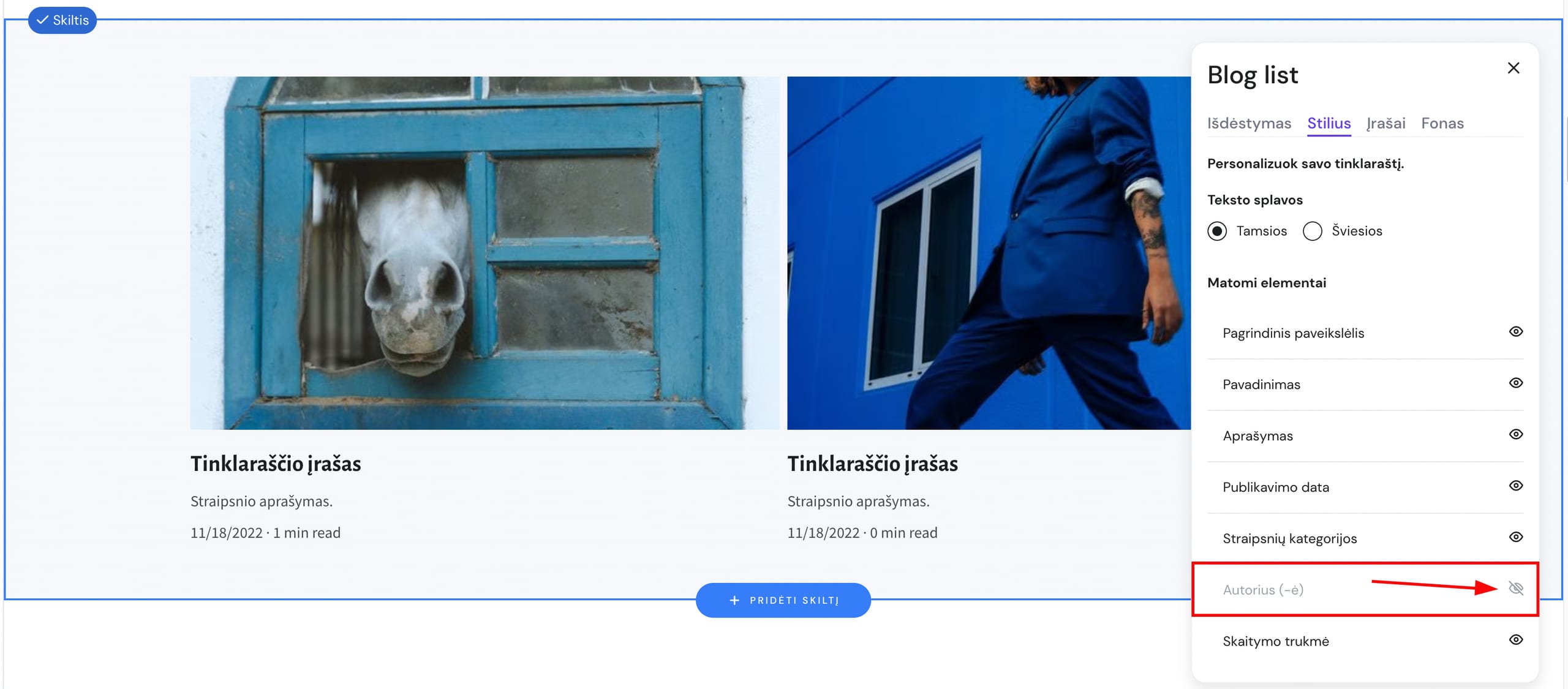 Tinklaraščio skilties nustatymai Hostinger svetainių kūrimo įrankyje