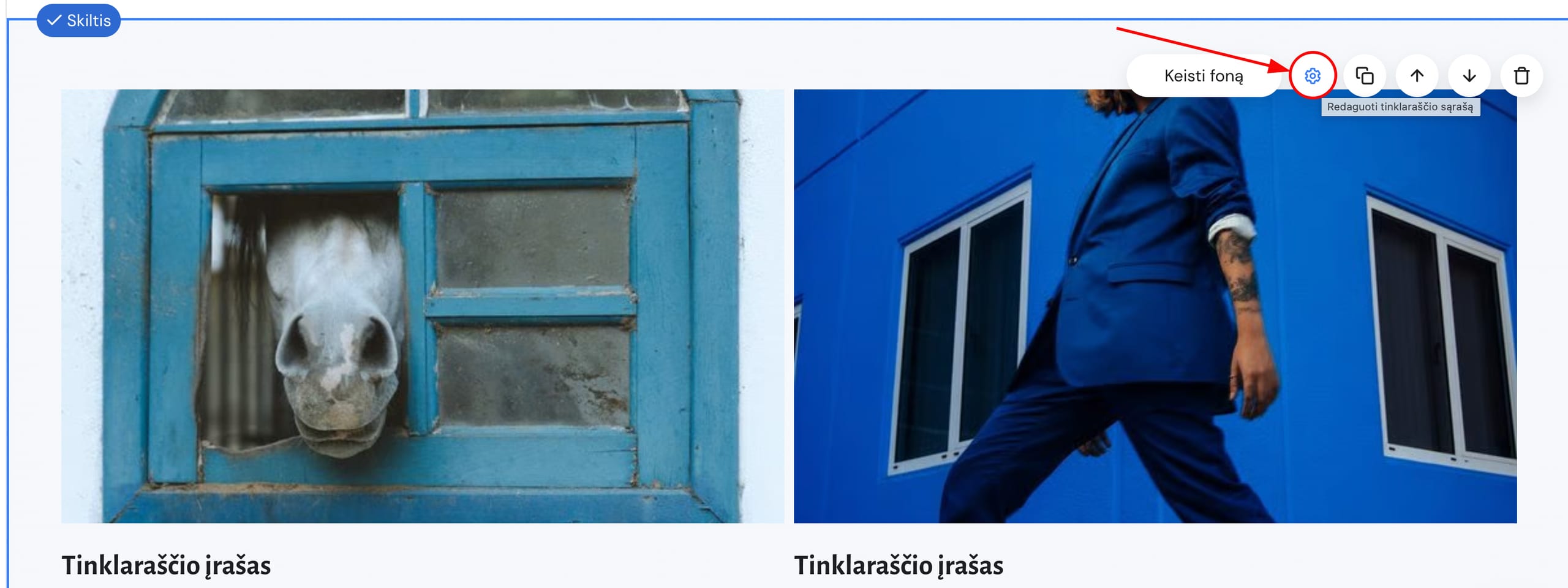 Tinklaraščio skilties nustatymai Hostinger svetainių kūrimo įrankyje