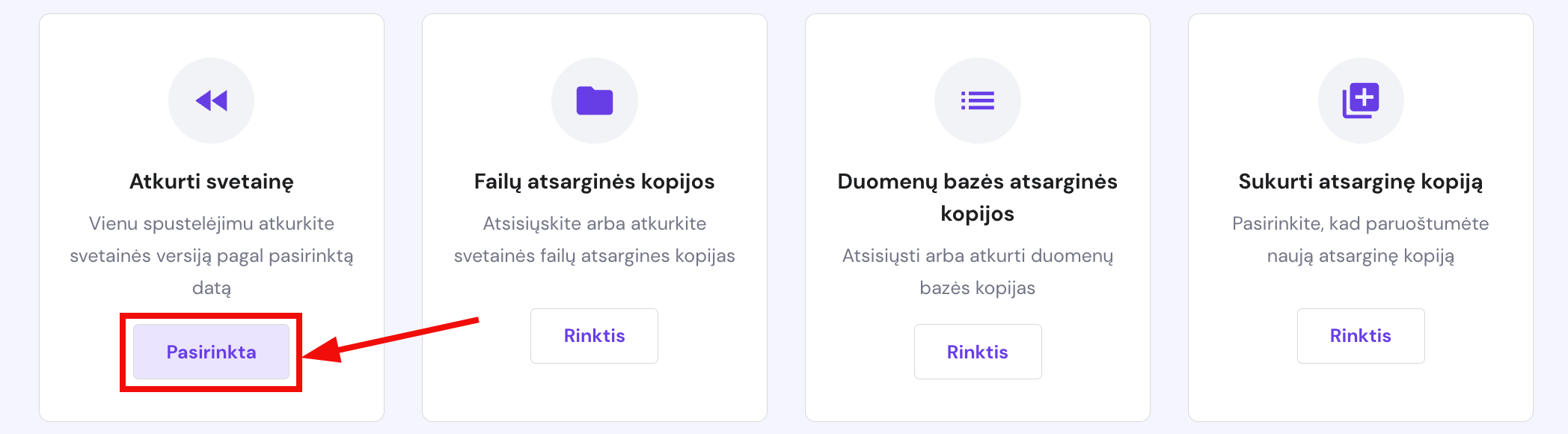 Atsarginių kopijų atkūrimo galimybės