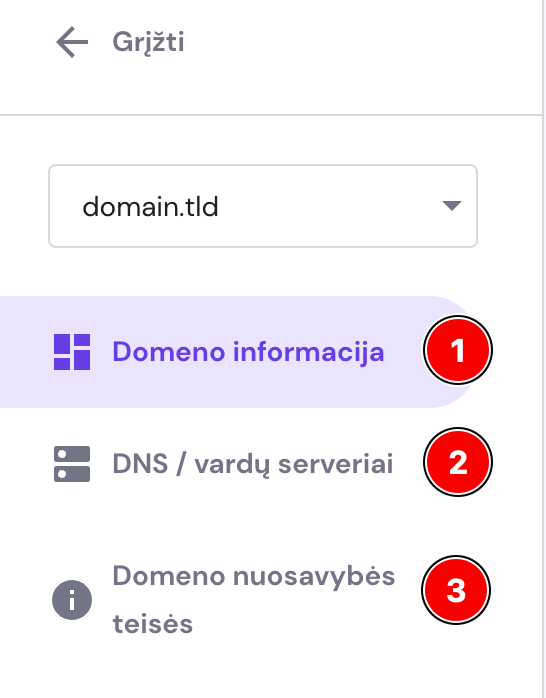 Domeno valdymo zonos kairėje esančios parinktys apima domeno informaciją, DNS ir vardų serverių nustatymus bei domeno nuosavybės teises