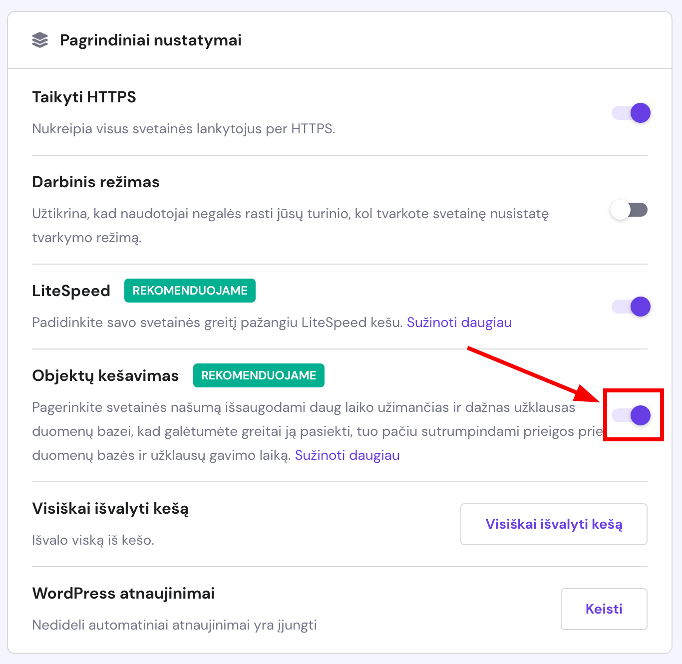 Pagrindiniai nustatymai WordPress Peržiūros nustatymų skiltyje