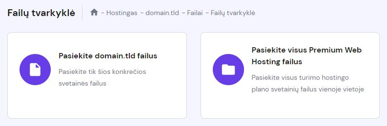 Du būdai atsidaryti failų tvarkyklę: konkrečios svetainės failus arba visus hostingo plane talpinamus failus