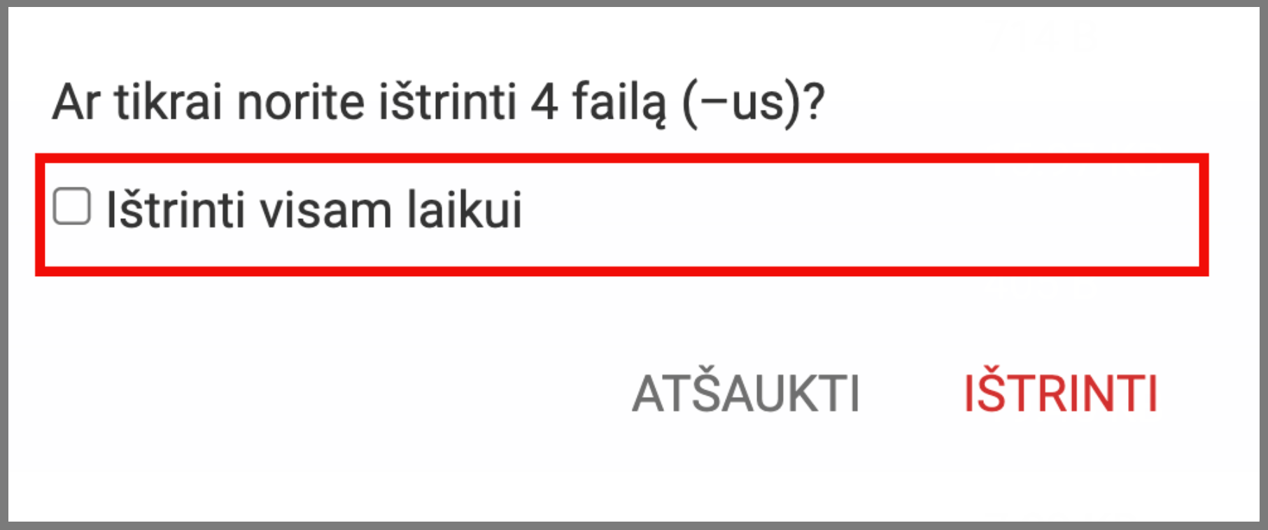Patvirtinimo langas, matomas norint ištrinti failus ar aplankus 