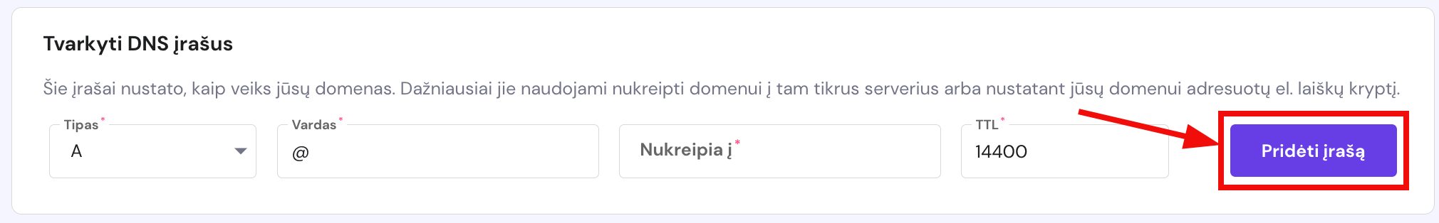 Mygtukas, skirtas pridėti DNS įrašą