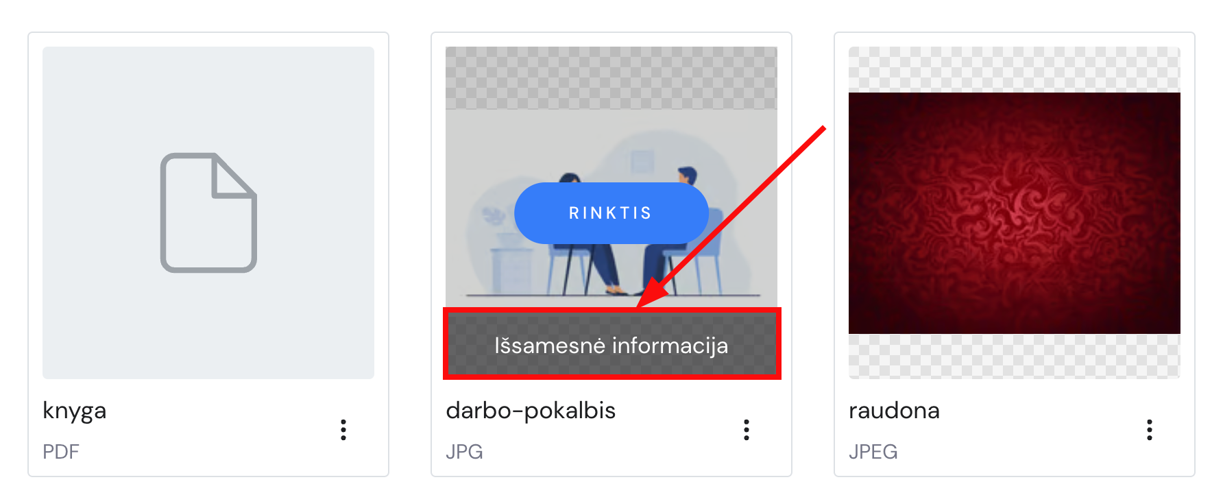 Užvedus kompiuterio pelę ant medijos failų bibliotekoje esančio failo matomas mygtukas Išsamesnė informacija