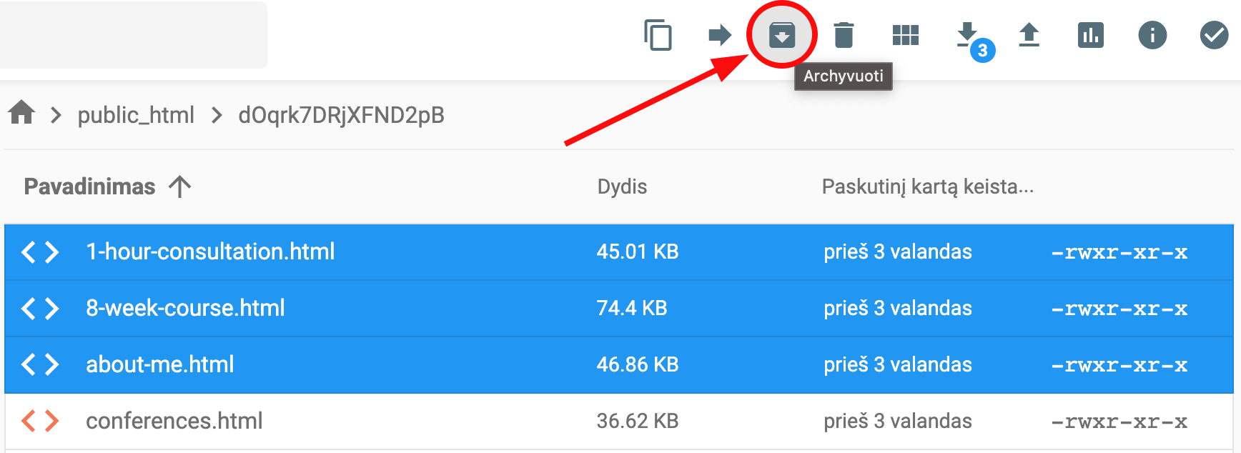 Įrankiai Hostinger failų tvarkyklėje