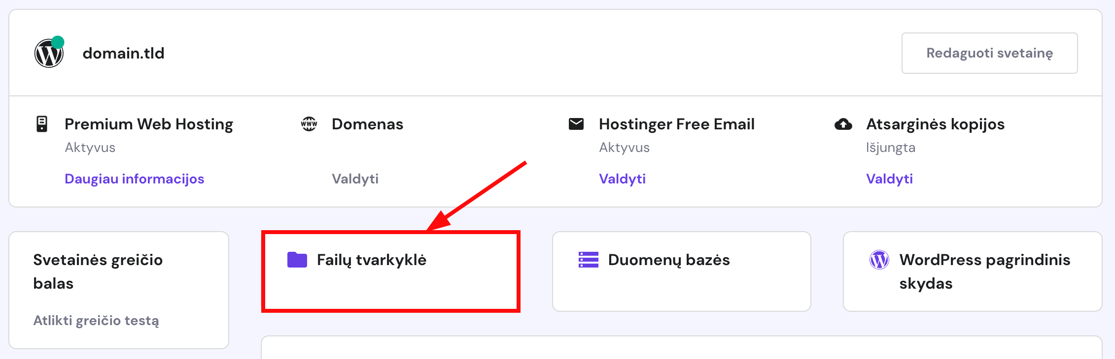 Mygtukas, skirtas pasiekti failų tvarkyklę svetainės valdymo skyde