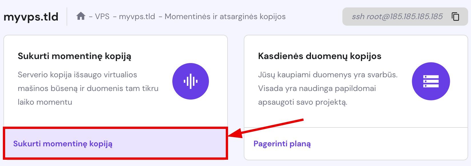 VPS serverio momentinės kopijos kūrimas