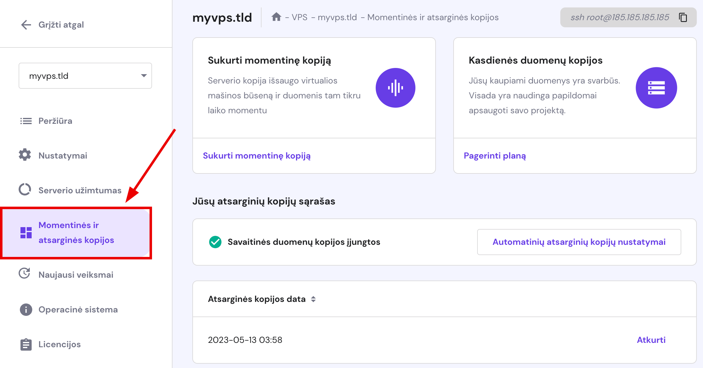 VPS puslapyje esanti skiltis Momentinės ir atsarginės kopijos