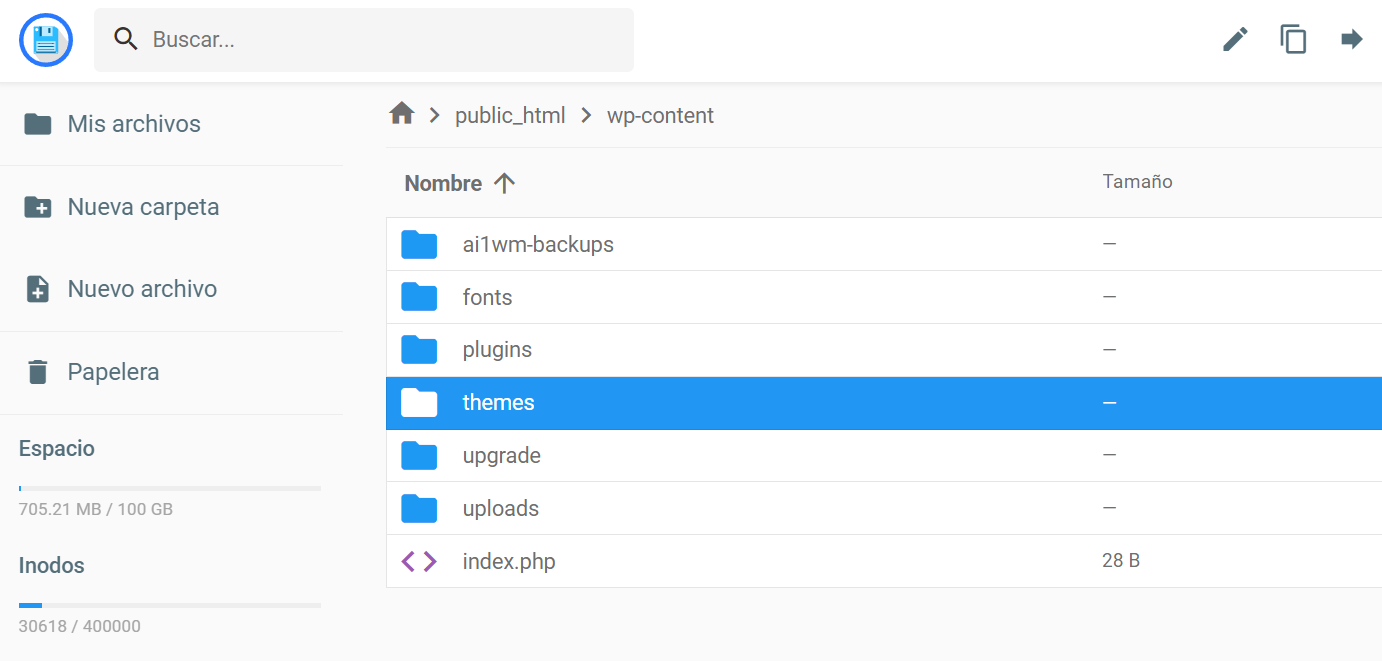 La carpeta de temas donde se ubicará el directorio de tu tema padre y del tema hijo en el hPanel