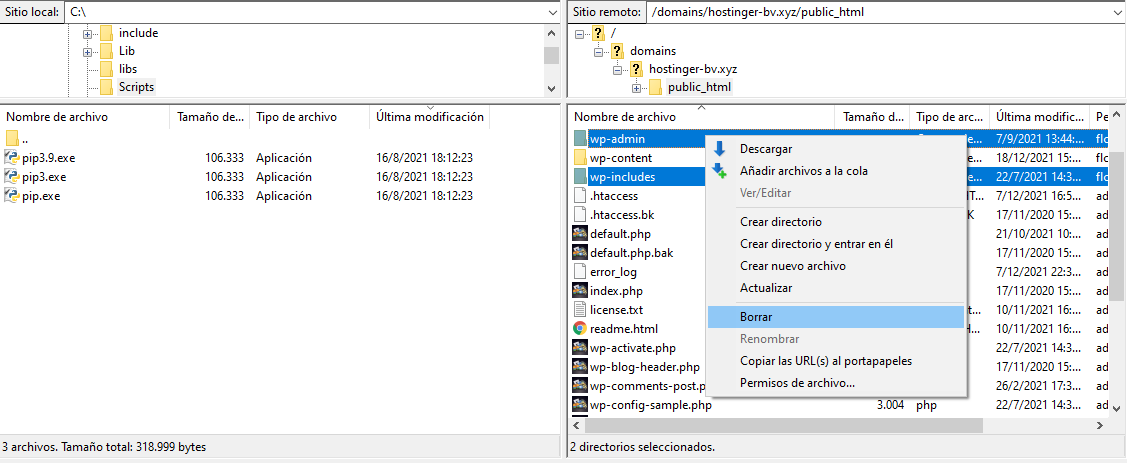 Borrar wp-admin y wp-includes en FileZilla
