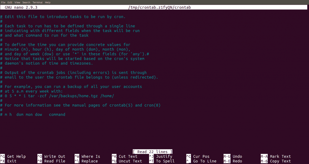 Cron job crontab -e result