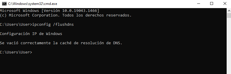 Flush DNS en Windows