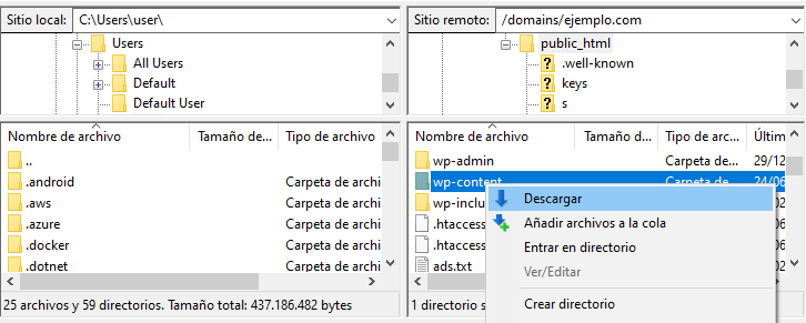 Visualización de la opción de descarga de wp-content
