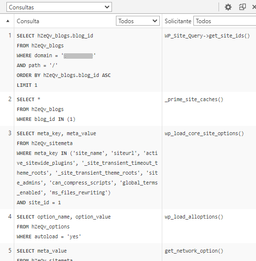 Sección Consultas en Query Monitor