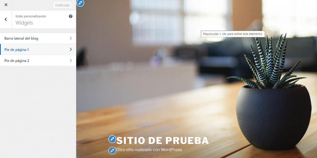 Opción para personalizar los widgets del tema.