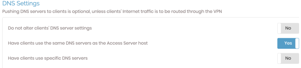 La sección de configuración DNS en el panel de control de OpenVPN