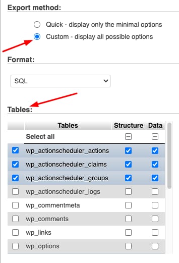 The custom database export method showing the customization options